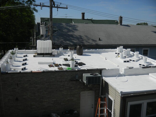 Building Photo - 3535 W Belmont Ave