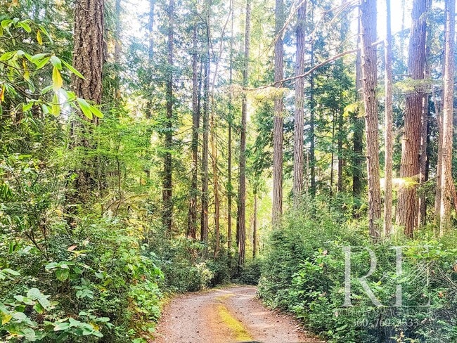 Building Photo - Waterfront Tudor | Private, Vintage Charm with Casita