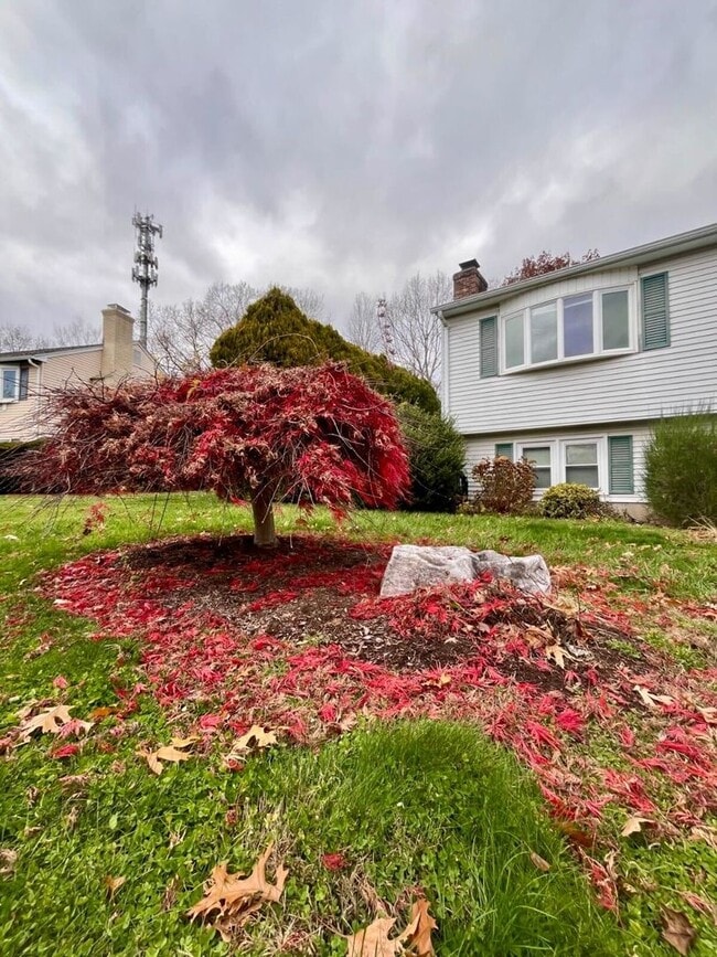 Building Photo - Renting a Single-Family Home