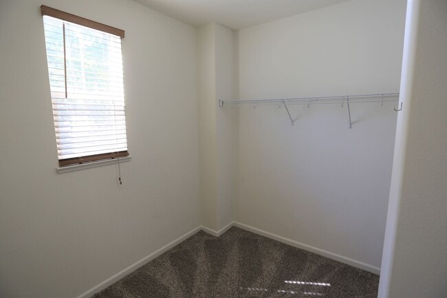 Building Photo - Gorgeous Home located in the heart of Patt...