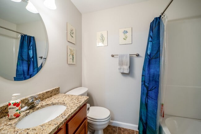 Building Photo - Stunningly Updated Home in Evergreen Meado...