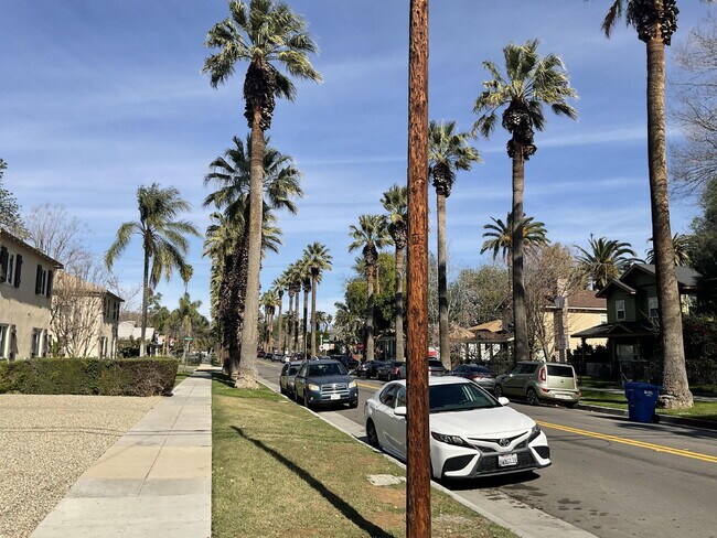 Building Photo - Bahama Palms, Newly Renovated 650 Sq Ft  1-Bedroom Riverside Retreat!