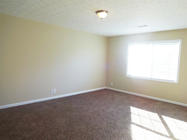 Building Photo - 424 Spring Falls Dr