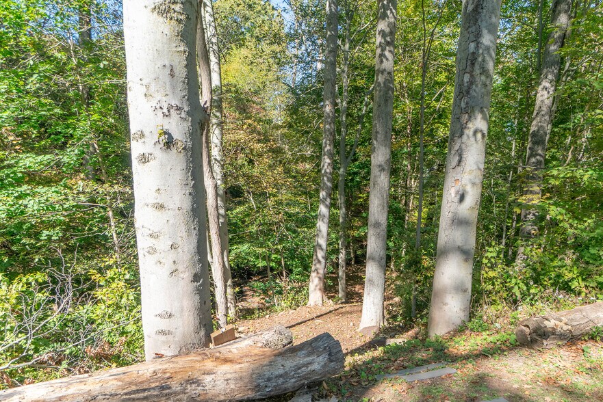 Path to Brook - 2778 Albany Ave