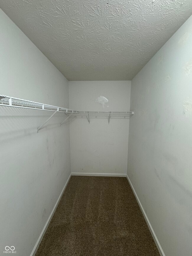Building Photo - 4703 Eva Ct