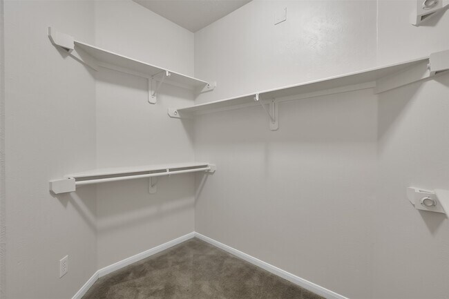 Building Photo - 22 Belcarra Pl