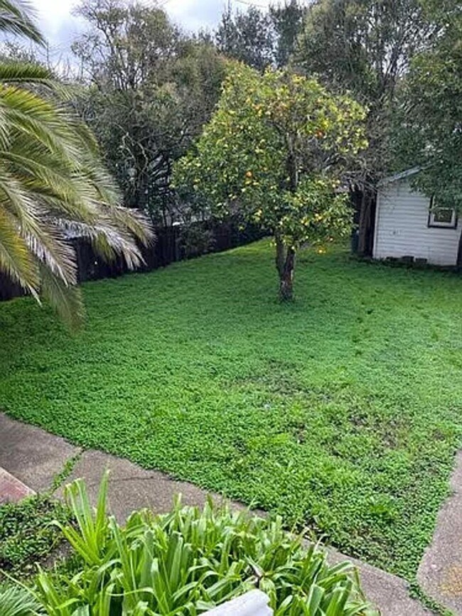 Building Photo - 325 Ohio St