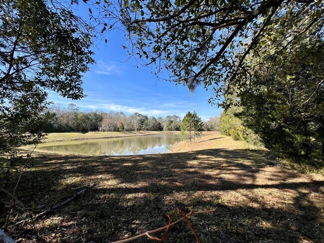 Building Photo - Renovated 2 Bedroom Jacksonville Heights D...
