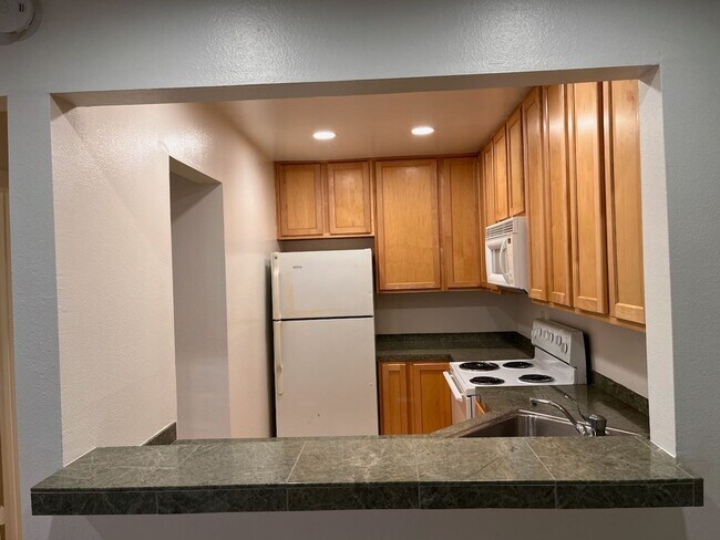 Building Photo - BEAUTIFUL CONDO! 2 MINUTE WALK TO CAMPUS!