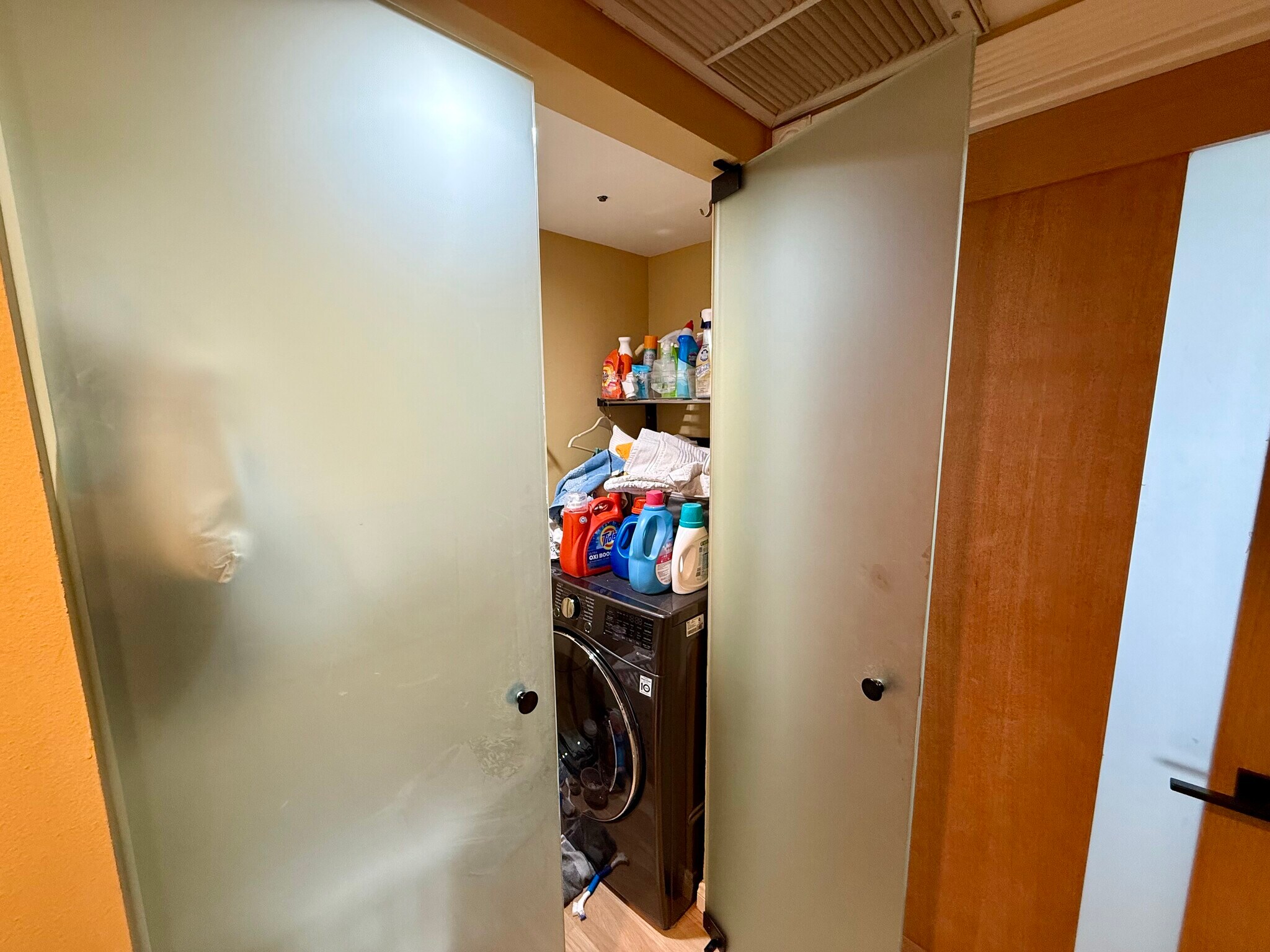 Laundry closet - 1247 E Wilson Ave