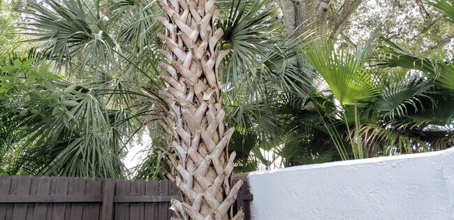 Building Photo - Beautiful  Furnished 1/1 condo x Rent  in Winter Park Next to Full Sail University !