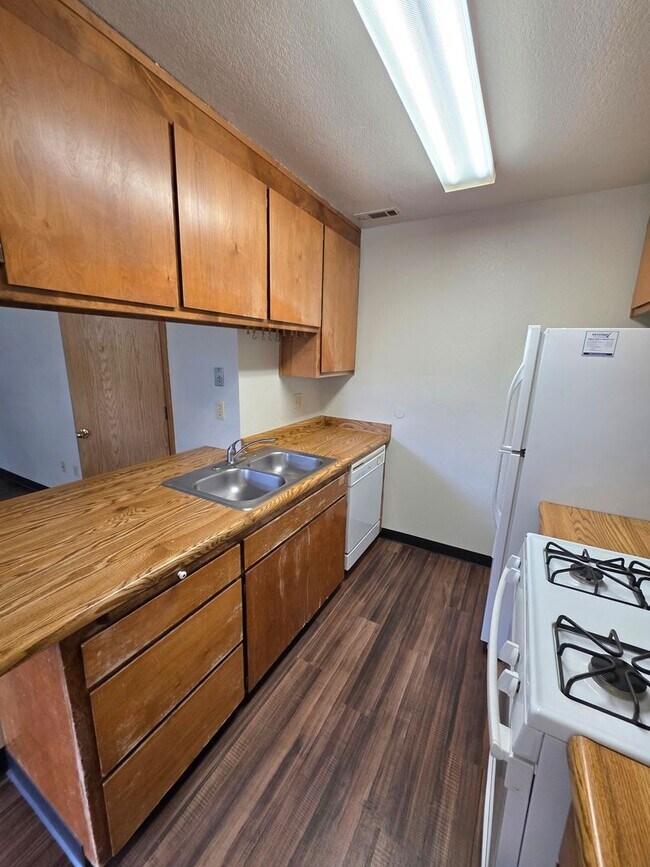 Building Photo - 2576 Sabre Ct
