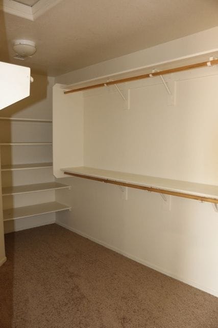 Building Photo - 16594 N 162nd Dr