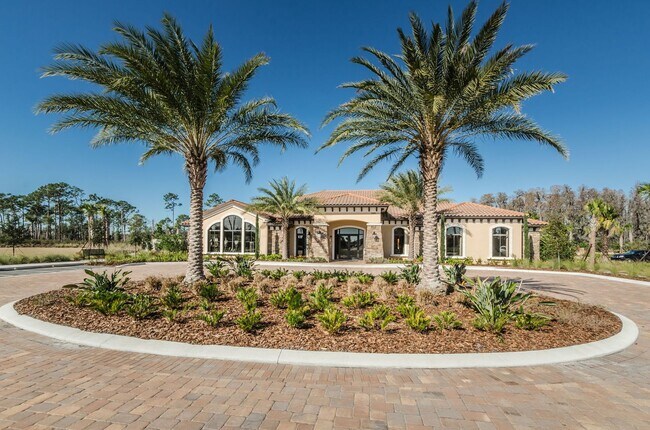 Building Photo - Beautiful Pool home in Starkey Ranch avail...