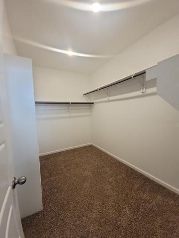 Building Photo - 1118 Silverthorne Trl