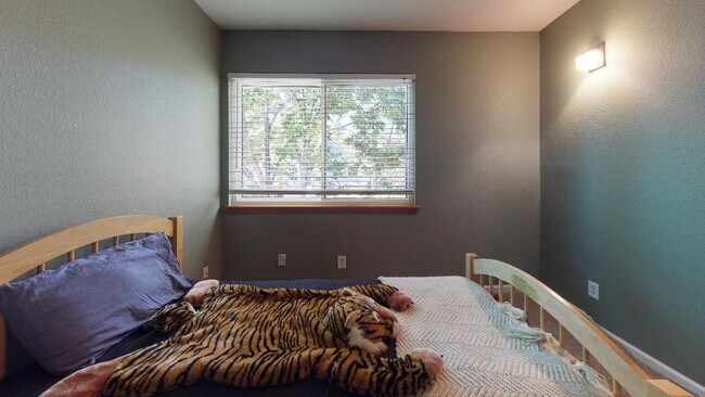 Building Photo - Beautiful sunny home