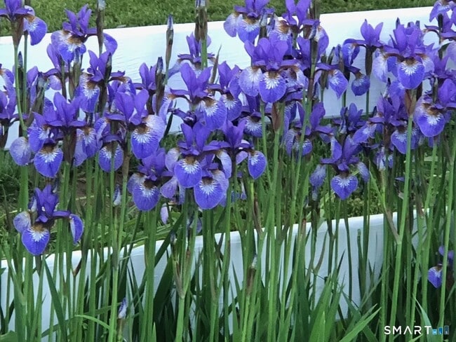 Building Photo - 30 Hopyard Rd