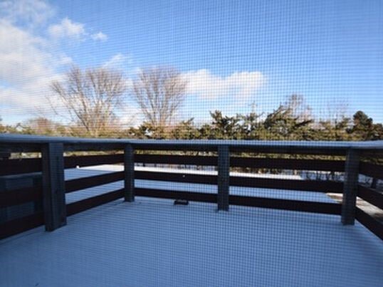 Building Photo - 428 Deldona Dr