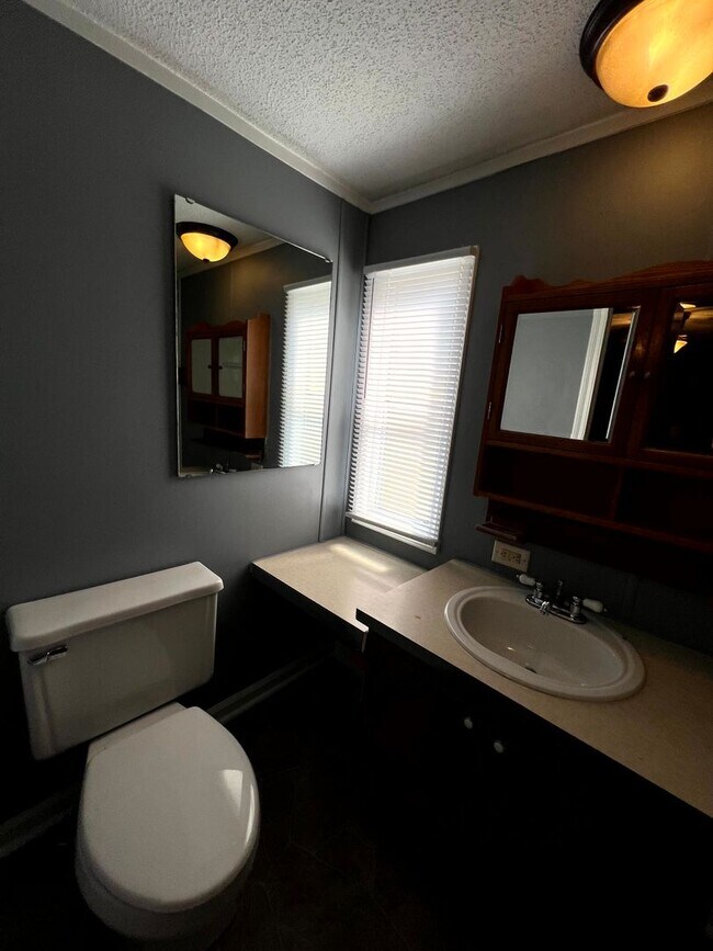 Building Photo - 2234 Ney Ct