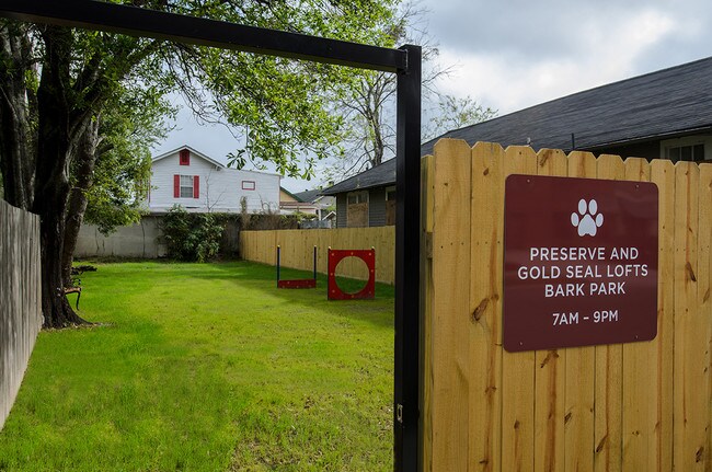 Bark Park - Gold Seal Lofts