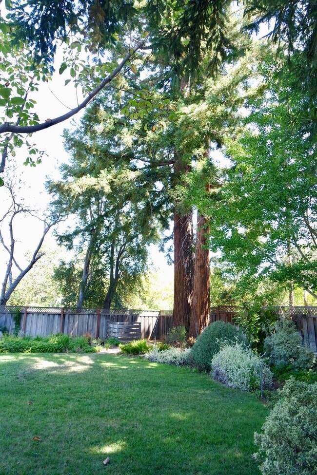 Building Photo - Third-Acre of Serenity