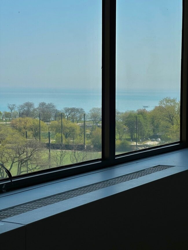 Building Photo - 2800 N Lake Shore Dr