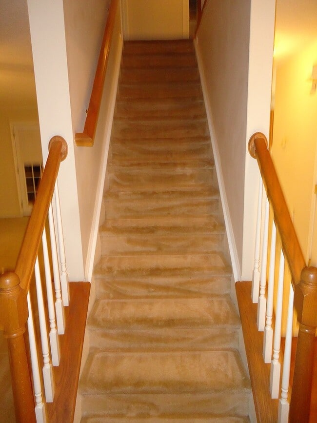 Building Photo - 2203 Oak Stream Ln