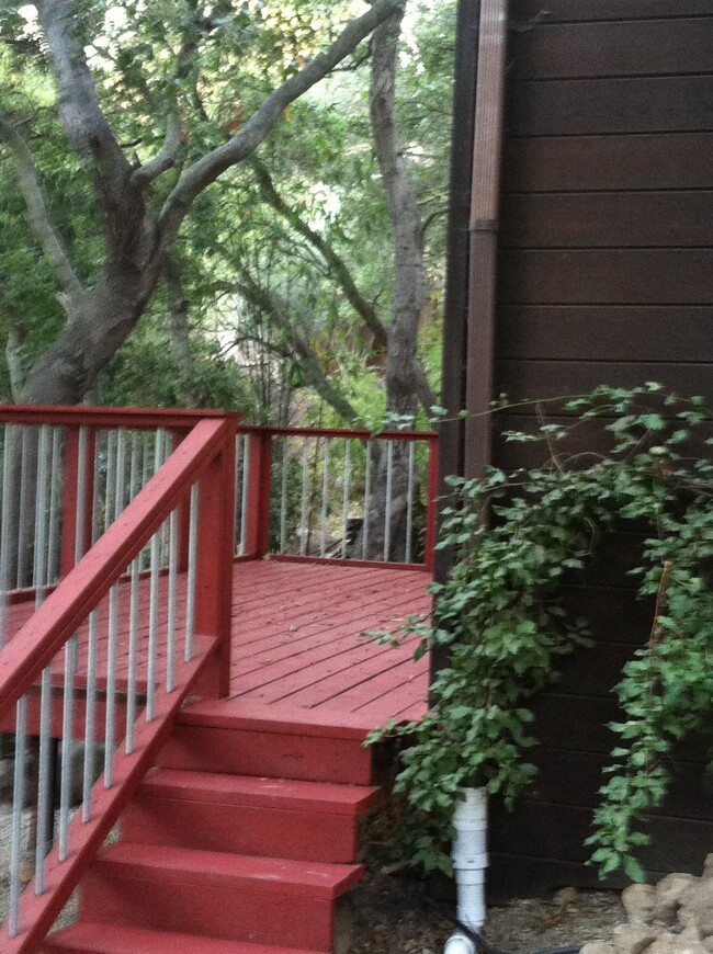 spacious sunny deck - 2012 Tuna Canyon Rd