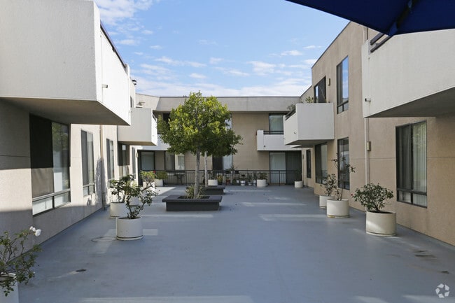 Courtyard - Beautiful Spacious Units