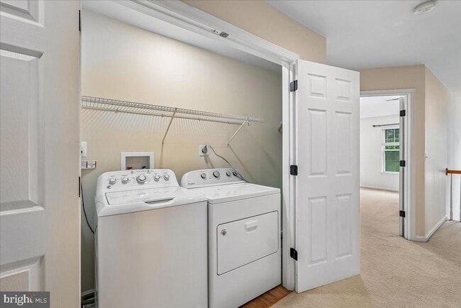 Building Photo - 905 Royal Elm Ct