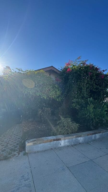 Primary Photo - 1330 Westerly Terrace