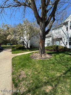 Building Photo - 325 Towne Dr