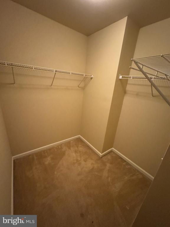 Building Photo - 105 Domino Ct
