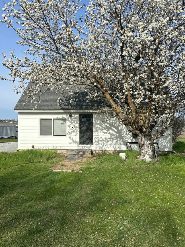 Primary Photo - Country Living!!!