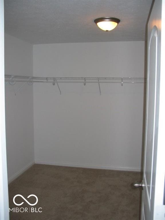 Building Photo - 11249 Candice Dr