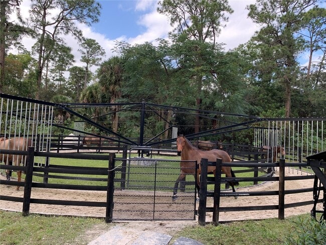 Building Photo - 14561 Tangerine Dr