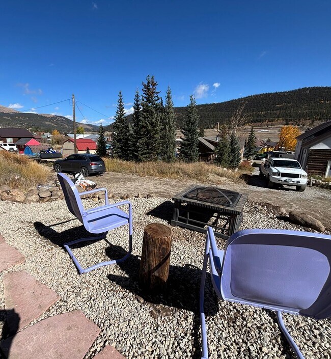 Building Photo - 20 Minutes to Breckenridge! Walk to everything Alma! Wood burning fireplace and fully furnished!