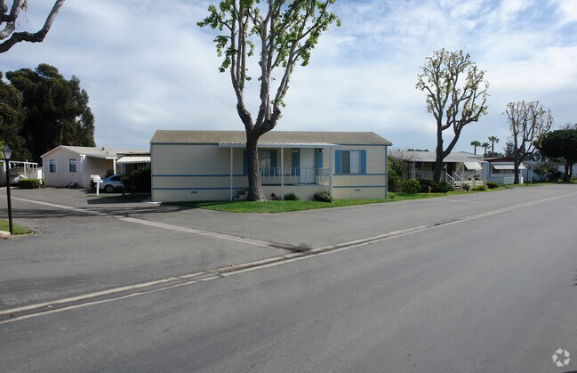 Primary Photo - The Colony