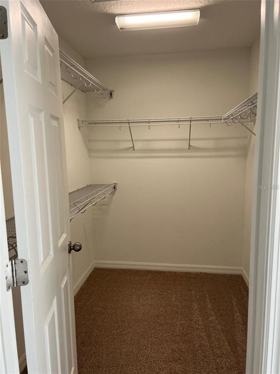 Building Photo - 2640 Amati Dr