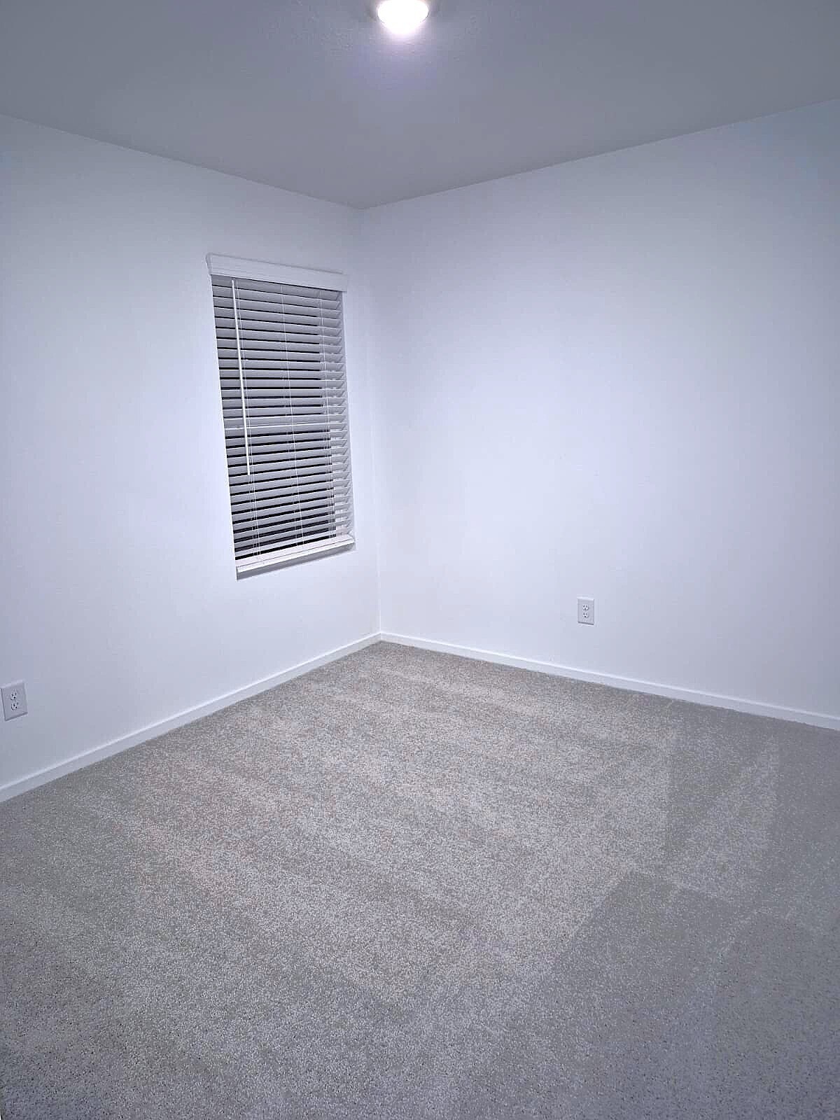 Building Photo - 20034 Palermo Shores Dr