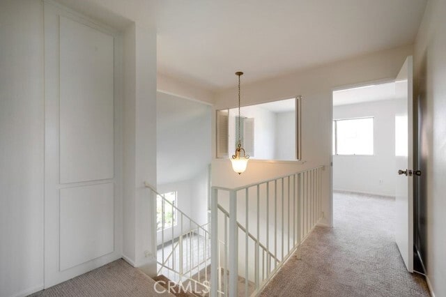 Building Photo - 1151 Oakfair Ln