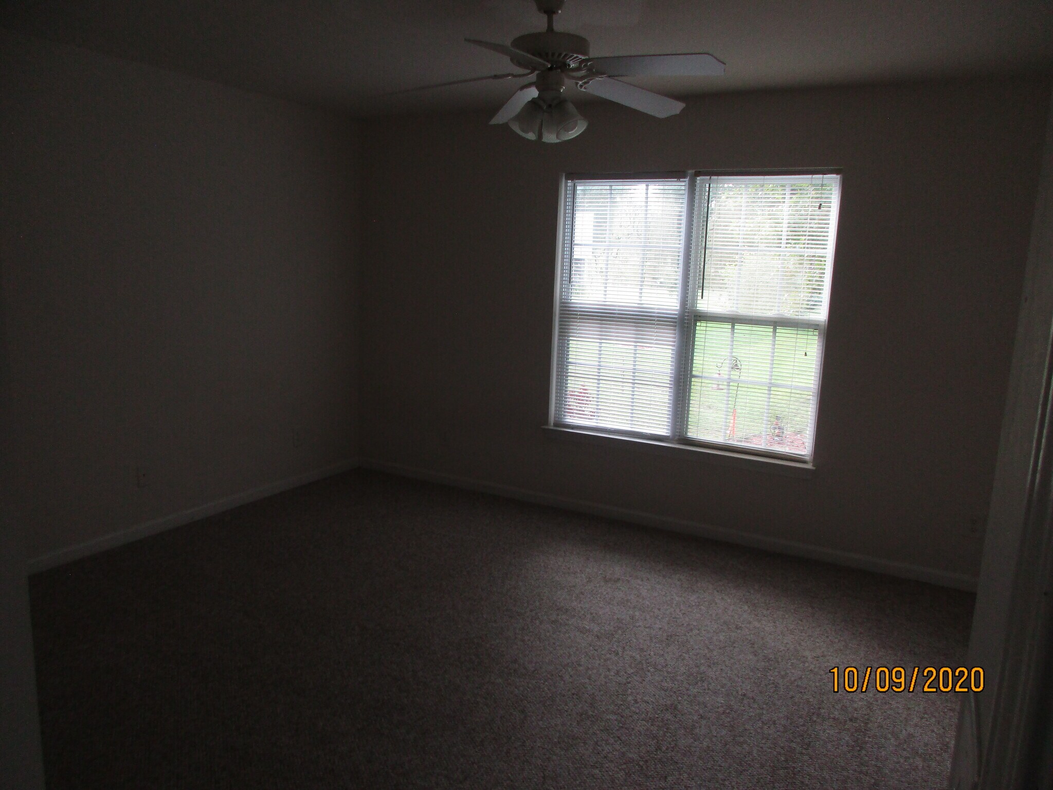 Building Photo - 6512 Royal Pine Dr