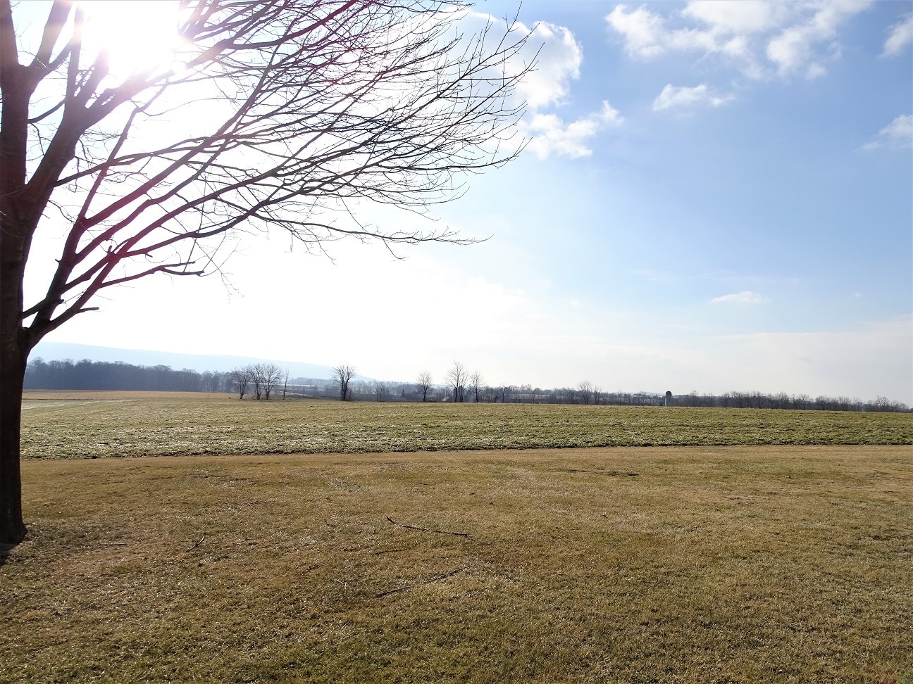 Building Photo - 454 Race Rd