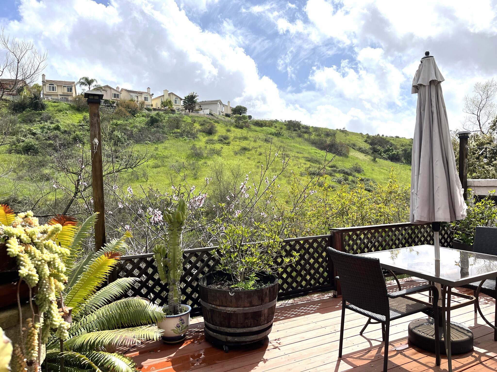 Building Photo - 10841 Portobelo Dr