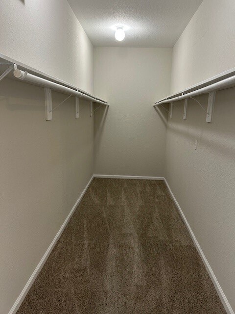 Building Photo - 431 Drake Ln
