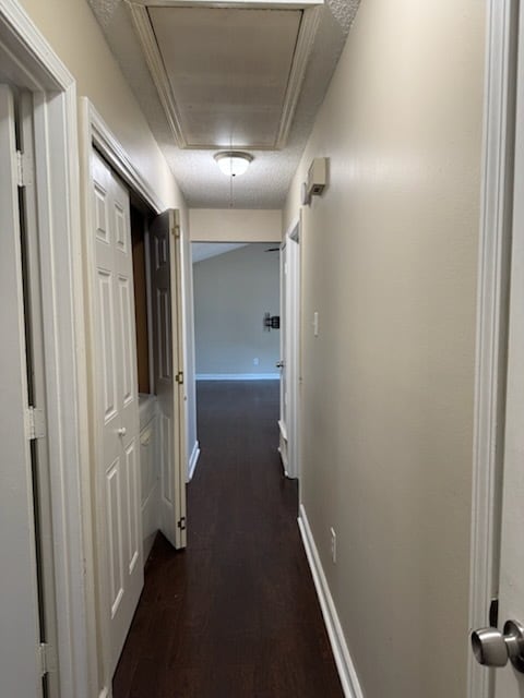 Building Photo - 598 Jeffrey Ln