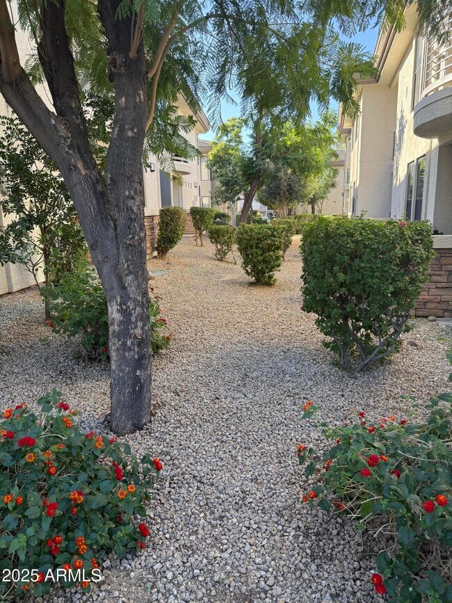 Building Photo - 6900 E Princess Dr