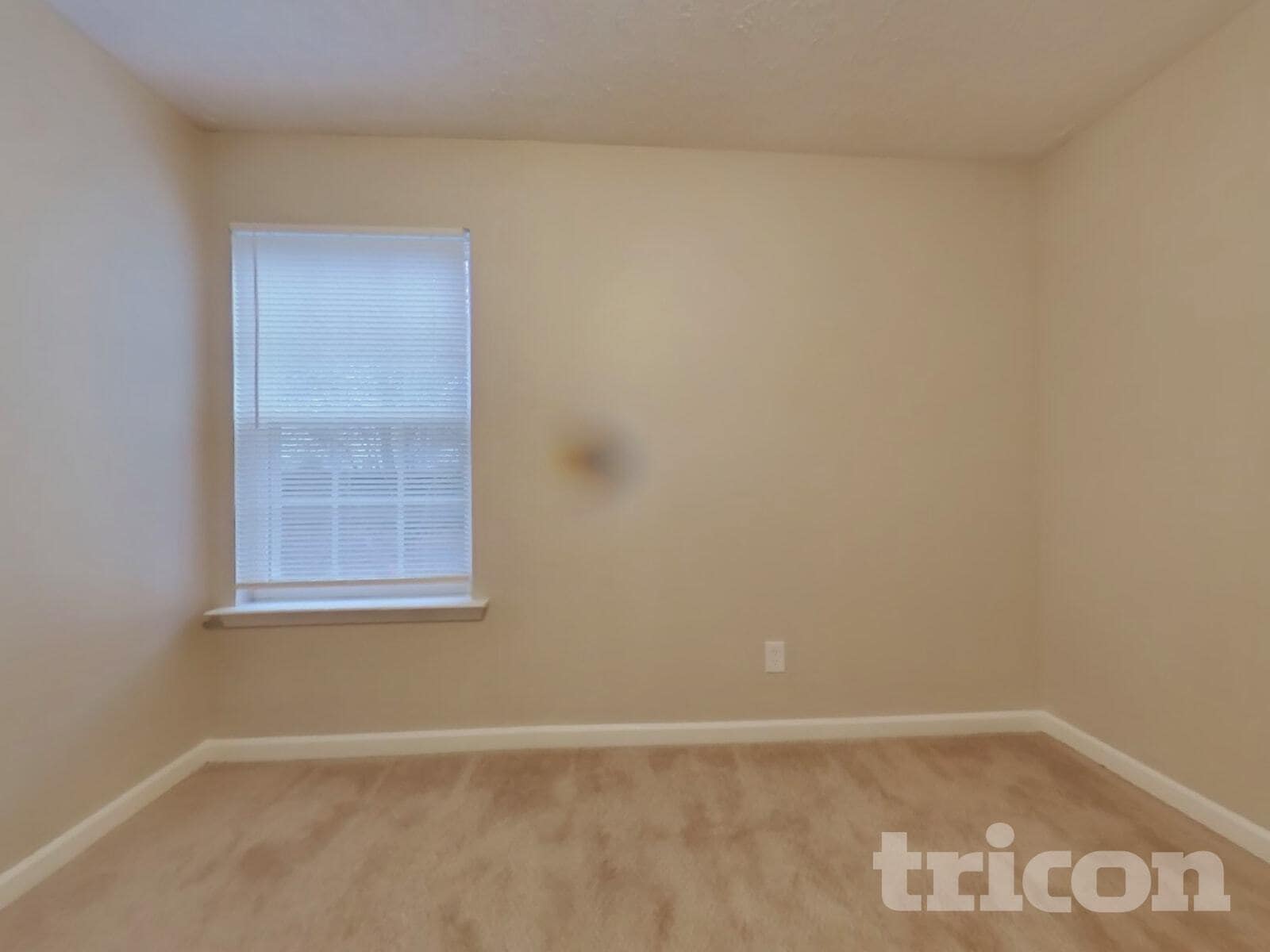 Building Photo - 129 Ilex Dr