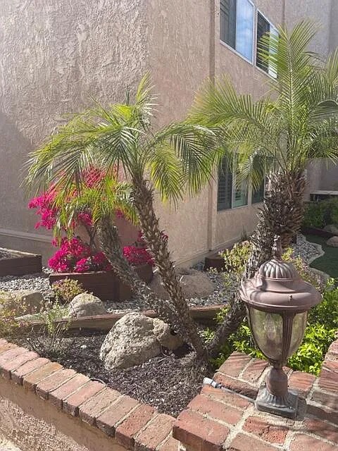 Building Photo - 5139 Balboa Blvd
