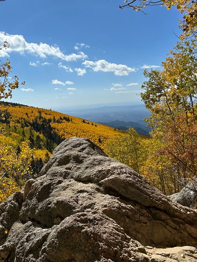 Building Photo - 17 Rabbitbrush